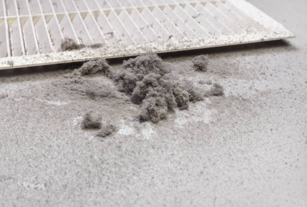 Best Professional Duct Cleaning Services  in North Hornell, NY