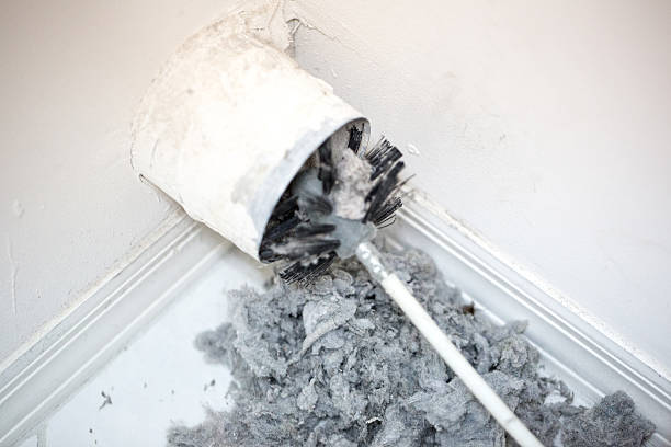 Best Local Air Duct Cleaning Services  in North Hornell, NY