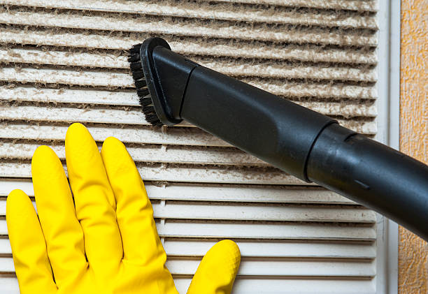 Best Professional Duct Cleaning Services  in North Hornell, NY